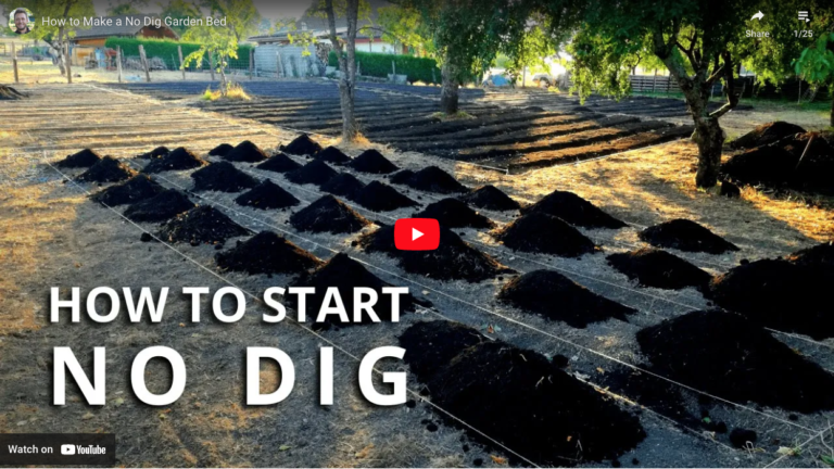How to Start a No-Dig Garden